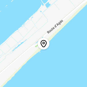 Géolocalisation de Paillote DNA