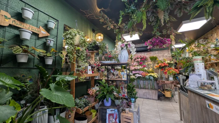 Amazonie Fleuriste