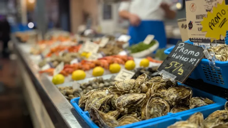 Les Coquillages d'Oc