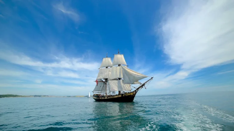 Phoenix Tallship - Découverte de la voile traditionnelle après-midi