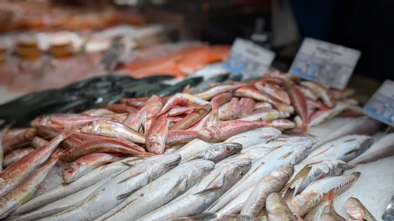 Piscatores Poissonnerie