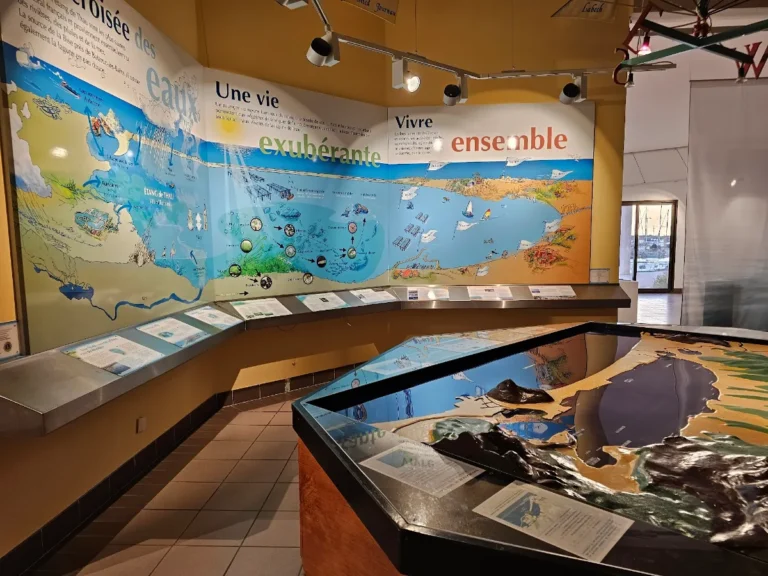 Musée de l'Étang de Thau