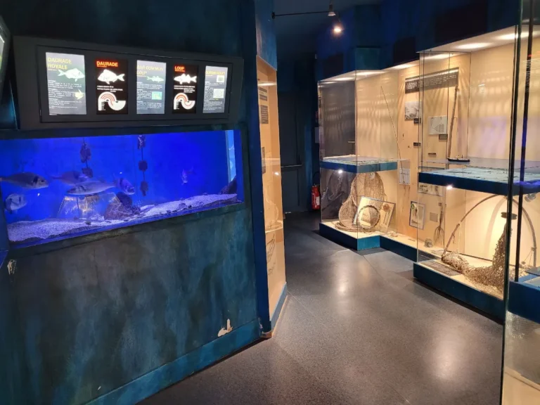 Musée de l'Étang de Thau