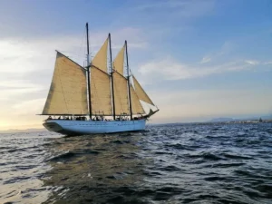 Visite des bateaux et grands voiliers à Escale à Sète 2026