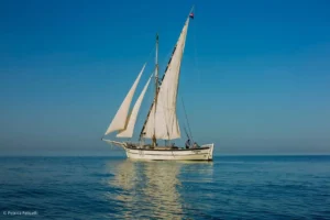 Visite des bateaux et grands voiliers à Escale à Sète 2026