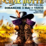 chat botte le musical image