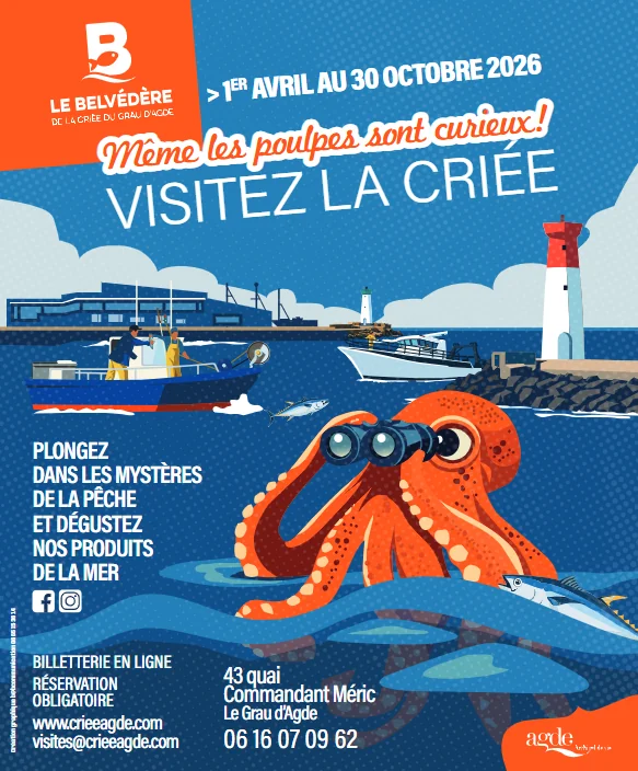 Ici7 Agde Conference Gourmande Sur Le Chinchard 7c1842 1776077096 Dc57f3ca