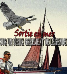 Sortie en mer à bord du Draug (1939) – Voilier Historique à Sète