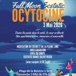 ici7 v2 69efd61ce81f4 capture 1777325596 0 1777325770 7b7b2509 1