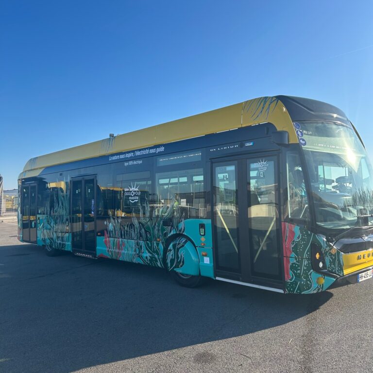 Ici7 Bus Gratuits Le 10 Mai Pour La Conchparty A Sete Image 1 40af9e