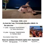 ici7 meze festival de tango 6ce3ef 01 1778510107 6298e2c2 1