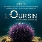 ici7 v2 6a18ad78dcdc7 capture 1780002168 0 1780002224 2ea7d383 1