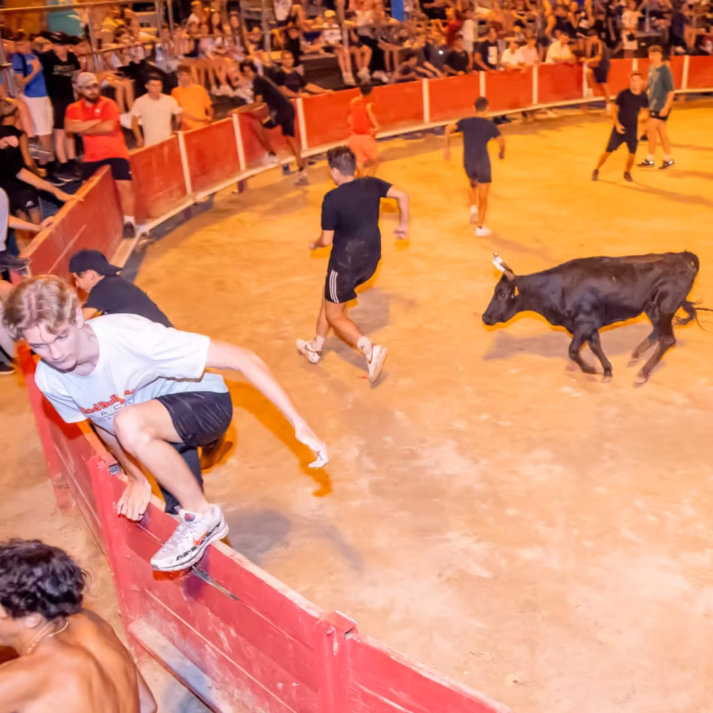 Toro-piscine 2026 à Frontignan