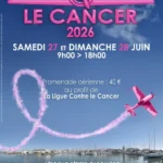 ici7 agde promenades aeriennes des ailes contre le canc 1781305150 43e191de 1