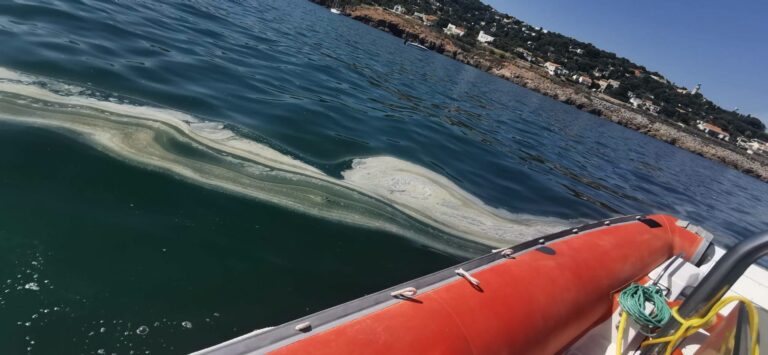 Ici7 Pollution Mer 3 Plages De Sete Fermees Image 1 B8b4e9