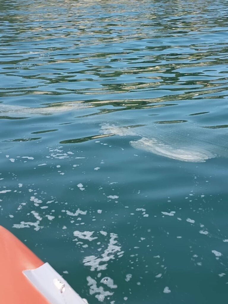 Pollution mer : 3 plages de Sète fermées - ici7 pollution mer 3 plages de sete fermees image 2 ce42e7 1 Ici7 Pollution Mer 3 Plages De Sete Fermees Image 2 Ce42e7