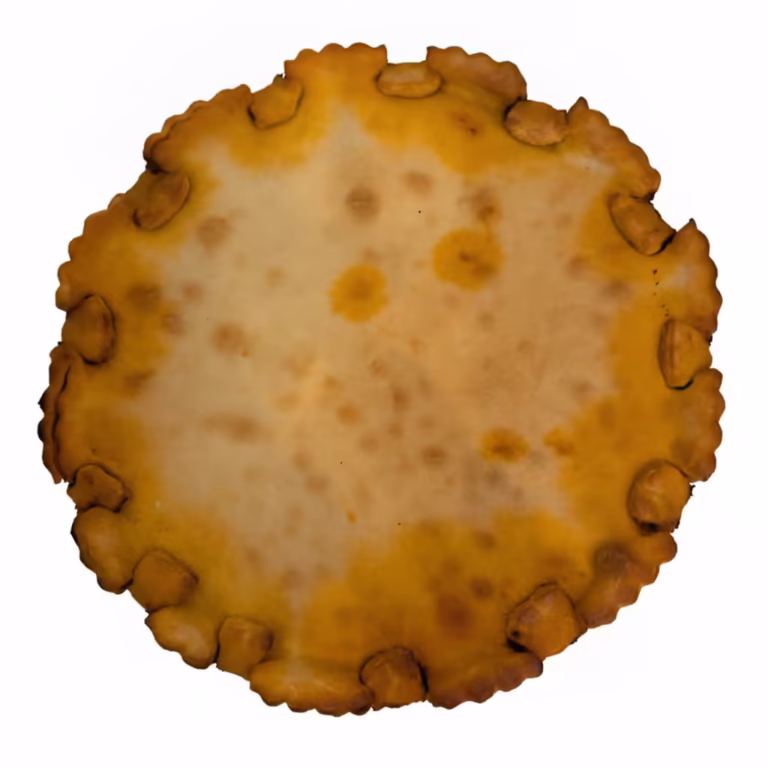 Tielle sétoise artisanale pâte dorée garniture poulpe tomate épicée