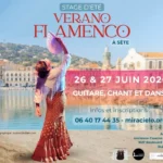 verano flamenco a sete image