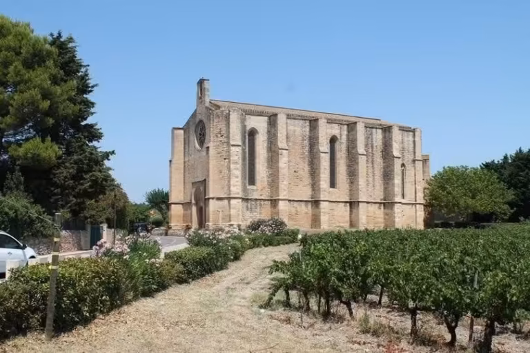 Église Sainte-Cécile de Loupian vue depuis les vignes, gothique languedocien