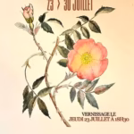 evenement 5c0fee5be4