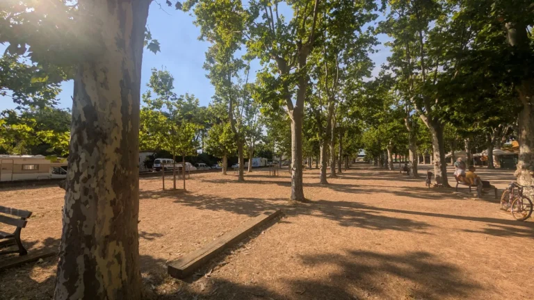 Allées du Général Roques