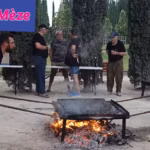 evenement 015f47be2d