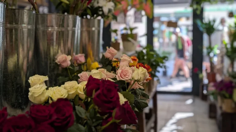 Jocy Fleurs