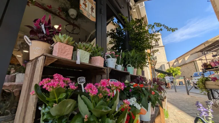 Jocy Fleurs