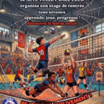 portes ouvertes sete volley ball club 2026 gymnase lido affiche