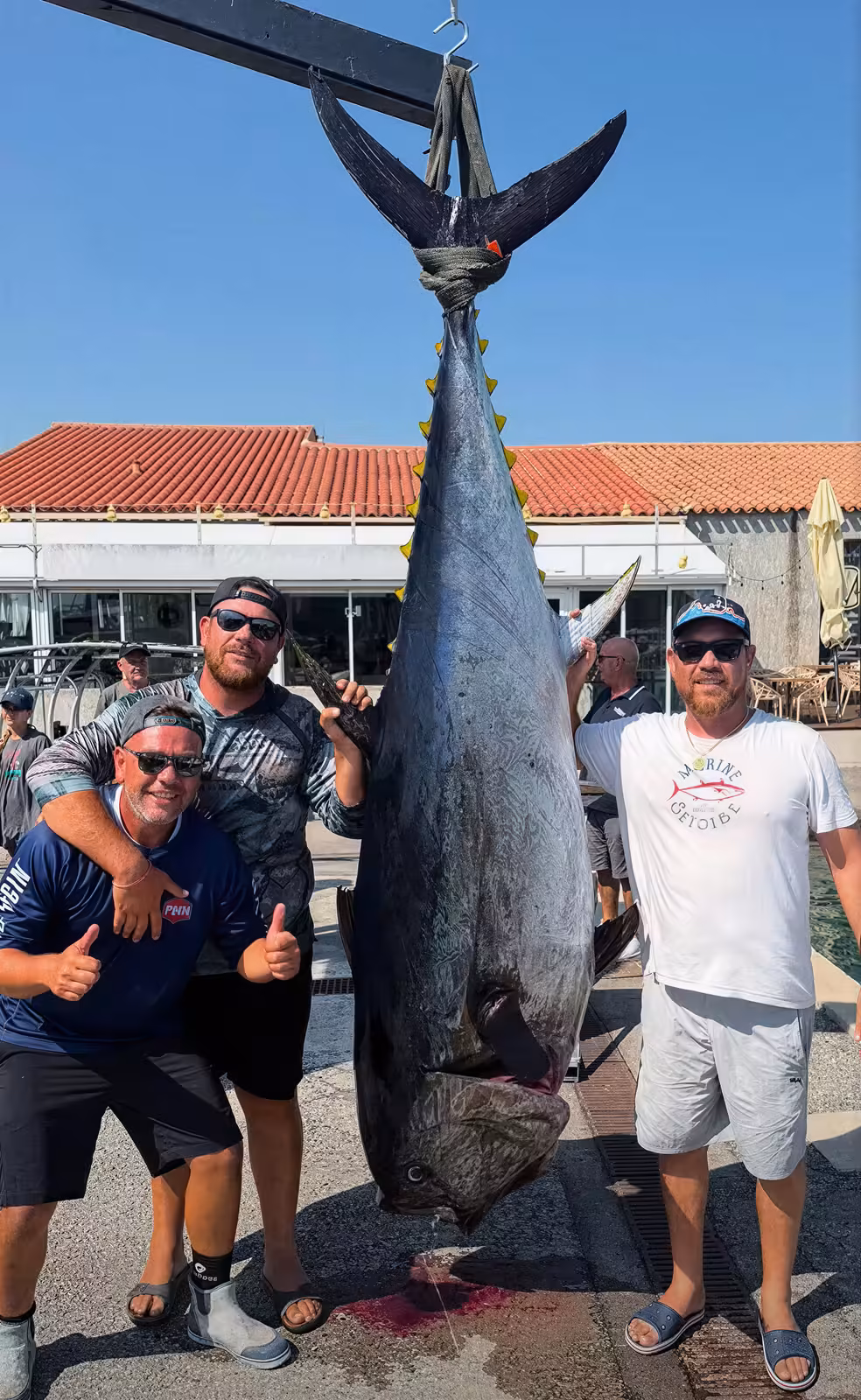 Un thon rouge de 230 kg pêché à la canne au large de Sète en août 2026 - thon rouge 230 kg sete trois freres quai hd Trois pêcheurs sétois posent devant un thon rouge de 230 kg suspendu sur le quai