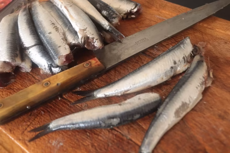 Anchois frais entiers sur la planche avant nettoyage