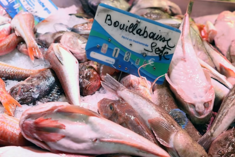 Poissons de bouillabaisse sur l'étal d'une poissonnerie de Sète avec sa pancarte