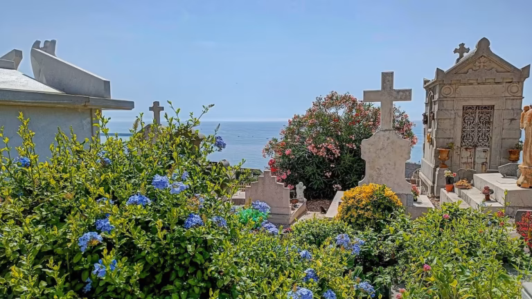 Tombes fleuries et chapelles funéraires du cimetière marin de Sète face à la Méditerranée