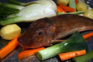 Grondin cru, fenouil, poireaux, carottes et pommes de terre pour l'eau sel