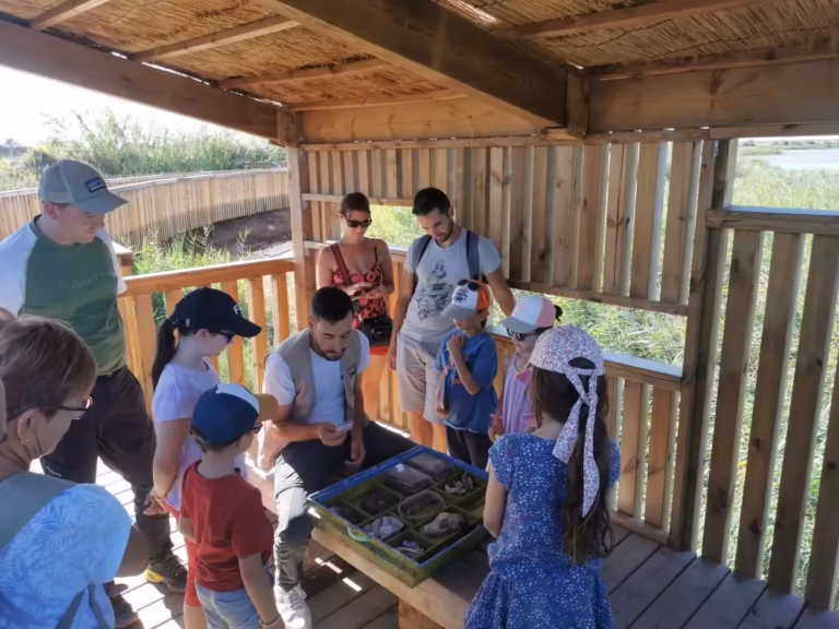 Le Bagnas pour les enfants avec l'ADENA à Marseillan