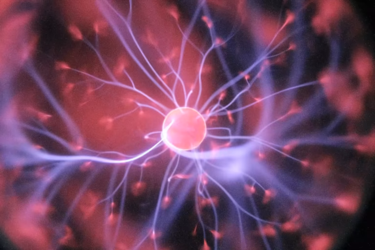 Fête de la science 2026 à la médiathèque de Marseillan