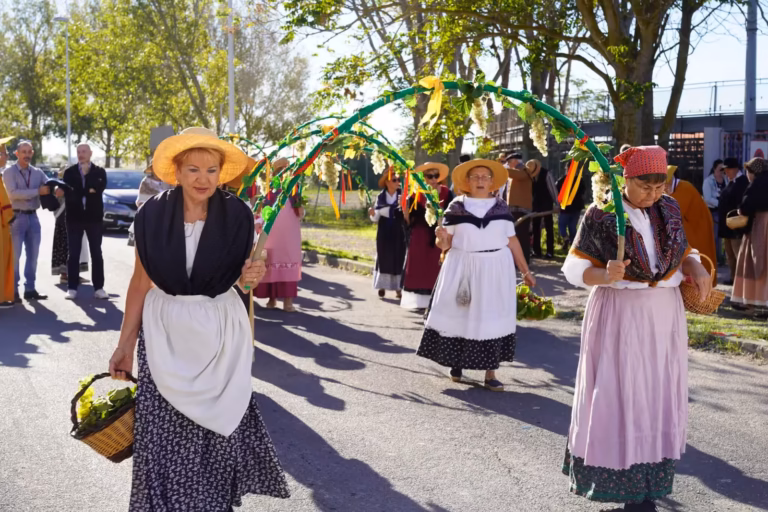 Fête des vendanges 2026 à Frontignan