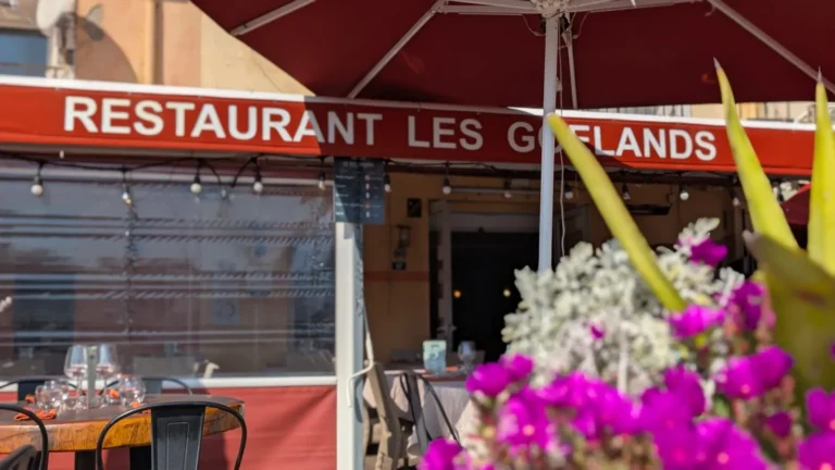 Les Goélands Sète