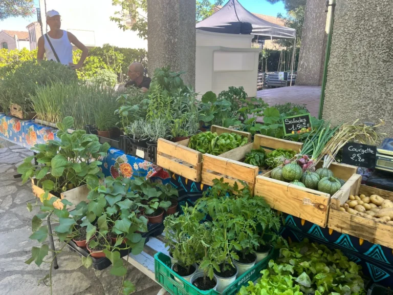 Marché de Producteurs et Artisans de la Capéchade