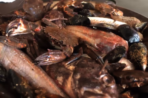Plat de service garni de crabes, de moules et de poissons de la bouillabaisse sétoise