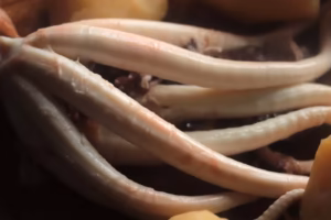Tentacules de poulpe cuits à l'eau pour la rouille graulenne