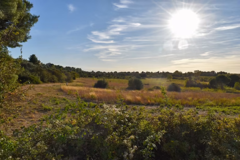 Le secteur de la Fiau, vaste espace de garrigue et de prairie à l'entrée nord de Balaruc-les-Bains