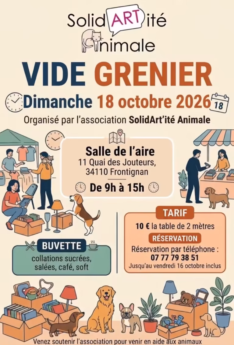 Vide-grenier de SolidArt'ité Animale à Frontignan
