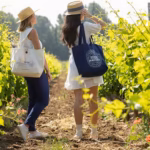 la balade des cepages domaine saint andre meze