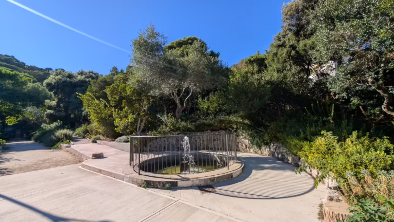 Bassin à jet d'eau au milieu d'une esplanade dans le jardin de l'école des Beaux-Arts de Sète