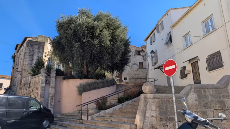 Escaliers et olivier dans une rue en pente du vieux Poussan