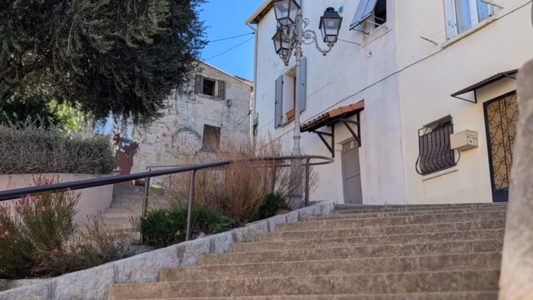 Escalier bordé de massifs menant vers une placette