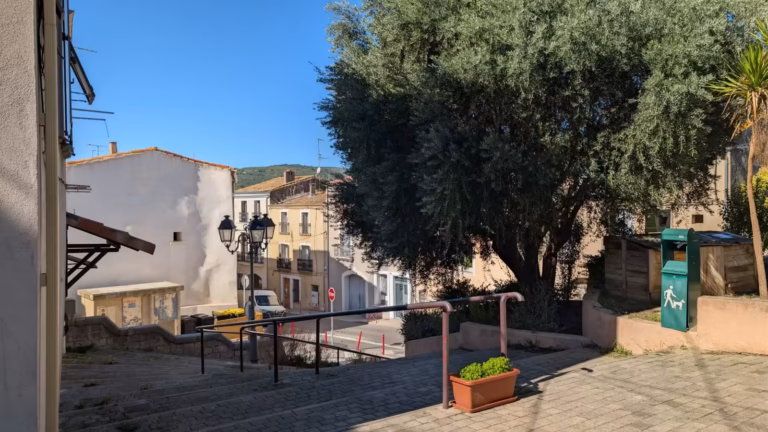 Placette ombragée d'un olivier, bancs et lampadaires