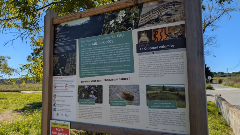 Panneau des espaces naturels des Collines de la Moure, espèces des milieux secs