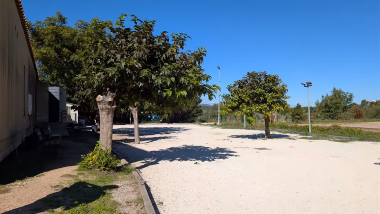 Terrain de pétanque ombragé au complexe des Baux